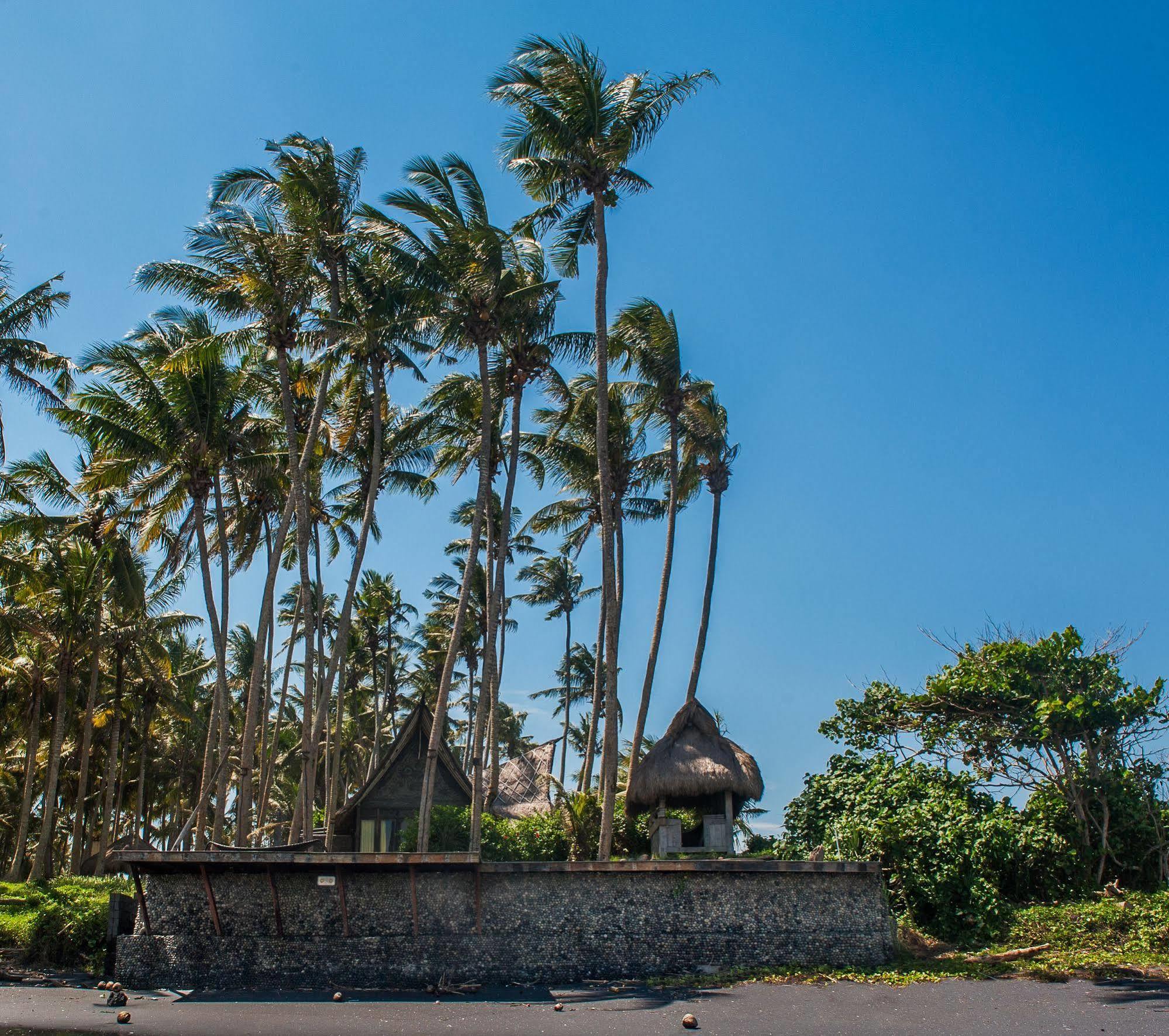Most Exotic Beachfront Villa Keong Selemadeg Exterior foto